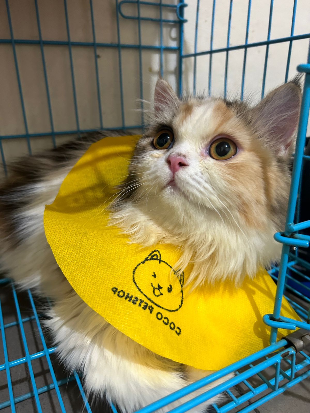 WhatsApp Image 2023-11-30 at 15.24.21