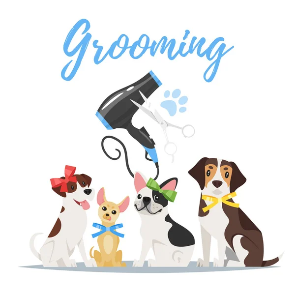 Anjing-anjing lucu sedang dirawat di salon anjing dengan pengering rambut dan gunting.