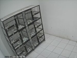 kandang pet hotel premium coco klinik hewan