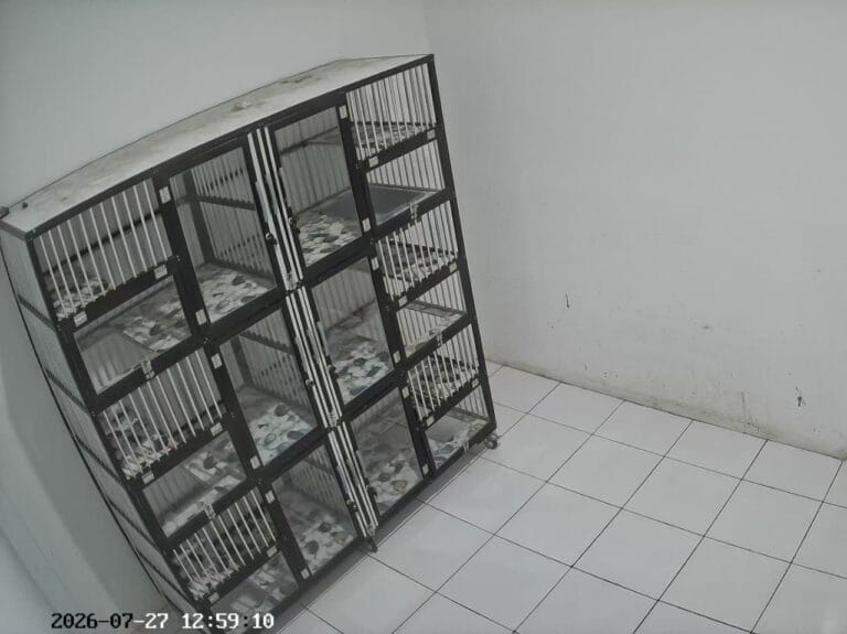 kandang pet hotel premium coco klinik hewan