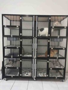 Kucing didalam kandang kaca di penitipan kucing coco klinik hewan cibubur
